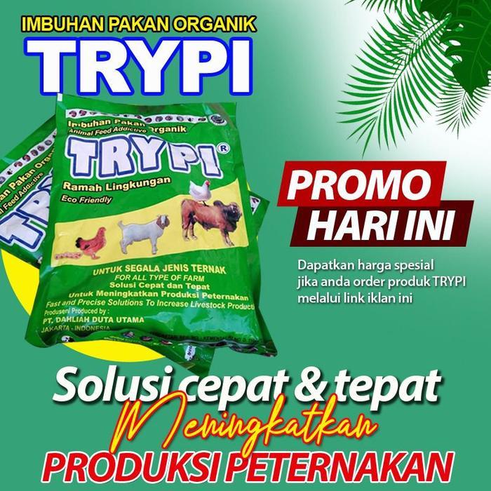 Trypi Pakan Ternak Organik Membantu Mengatasi PKM & Waspada Penyakit Mulut Kuku Sapi Trypi Imbuhan