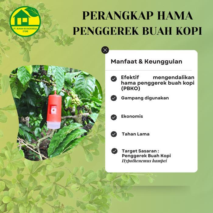 "New" Feromon & Perangkap Hama Penggerek Buah Kopi PBKo KOPTAN
