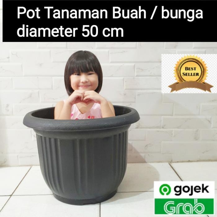 Paket 3 Pcs Pot Tanaman Hias Jumbo Super 50 Tebal Pot Besar Buah Bunga Ukuran 50 Tinggi 40