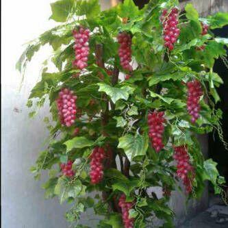 POHON ANGGUR BUNGA PLASTIK TINGGI 120 CM DENGAN POT KAYU HIASAN RUMAH DEKORATIF DARI BAHAN PLASTIK