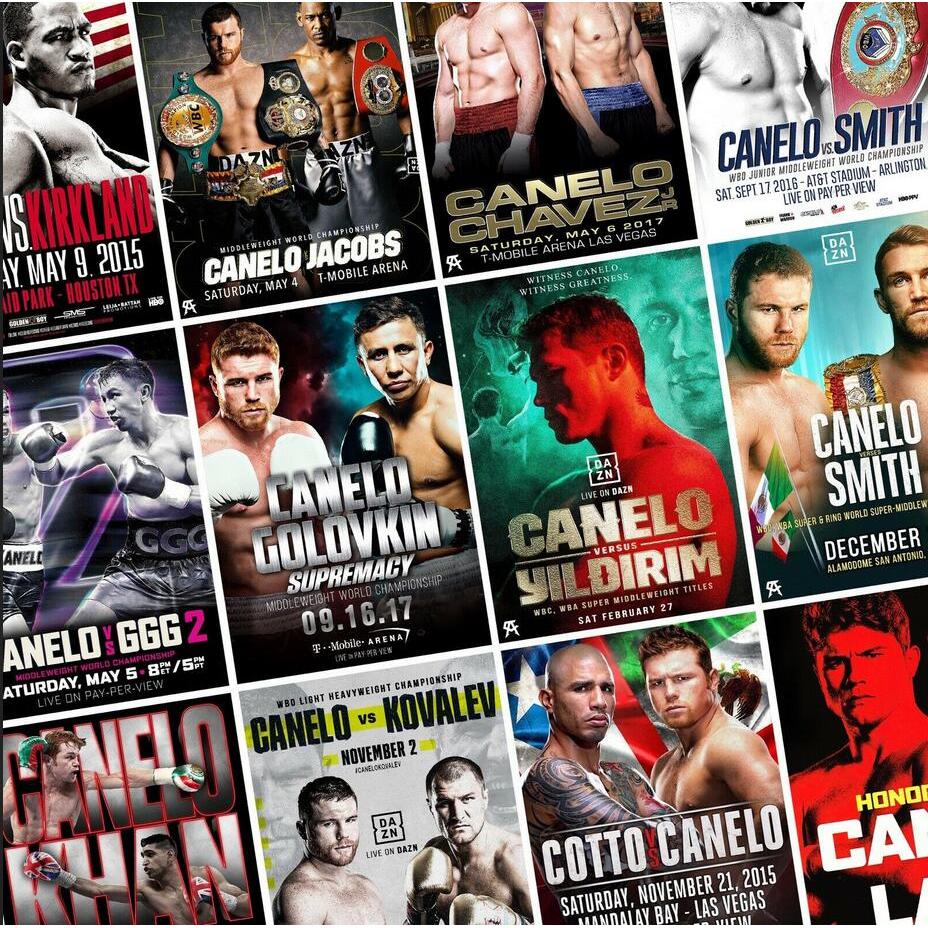 25style Choose Conor McGregor Fight Boxing Print Art Canvas Poster For Living Room Decor Home Wall P