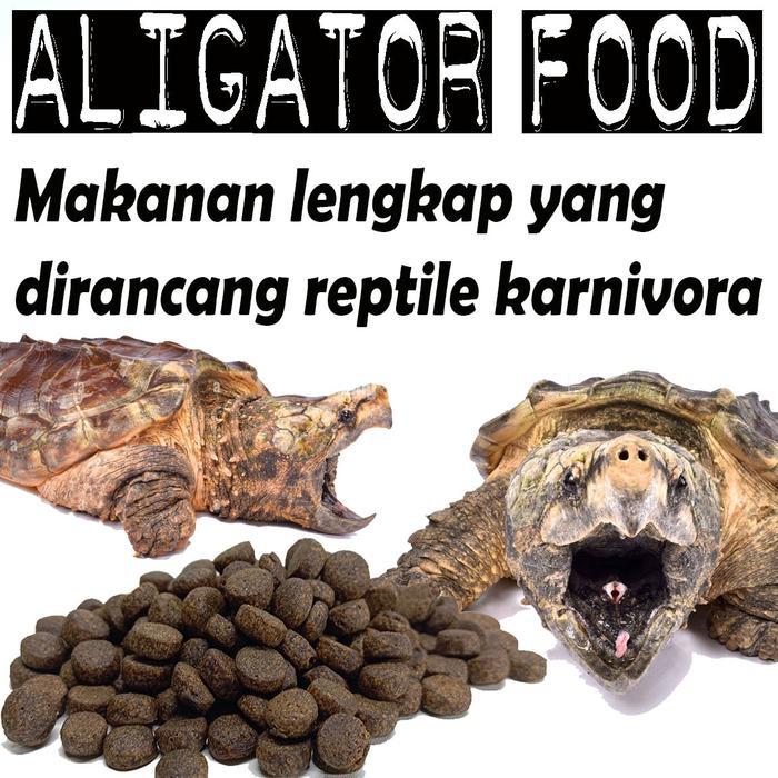 Aligator Food Pakan Pelet Kura Air Cst Common Snapping Turtle Reptile Pasti Promo
