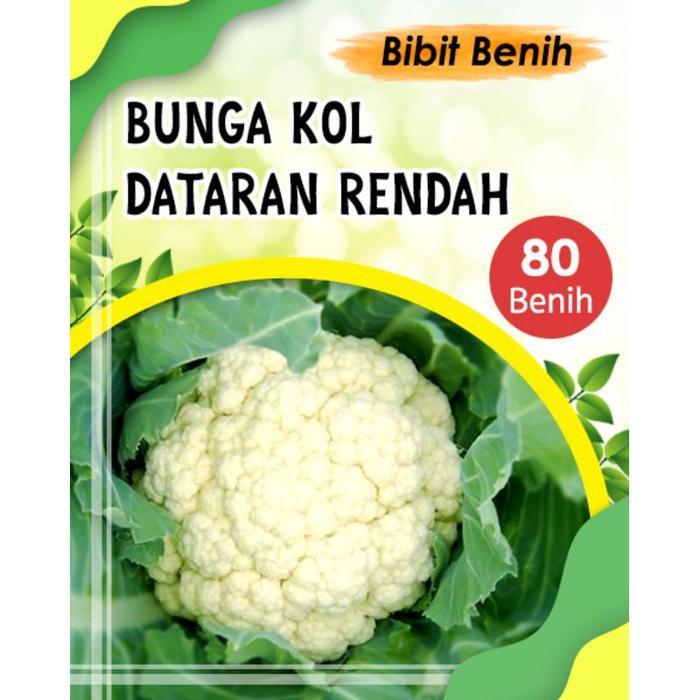 PRODUK TERBATAS Benih Kol bunga dataran rendah / bibit bunga kol diamond