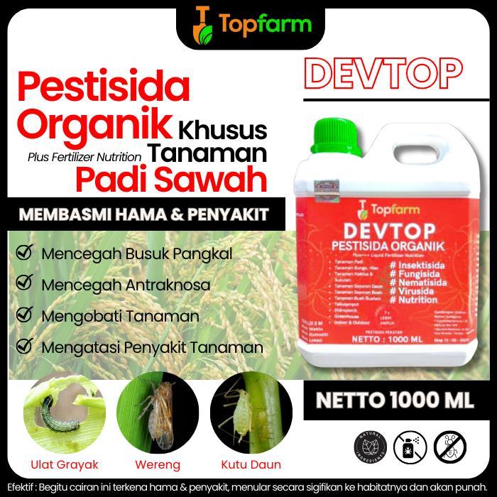 Obat Semprot Hama Padi 1 Liter - Obat Penyakit Tanaman Padi Sawah - Obat Pembasmi Hama Padi / Obat
