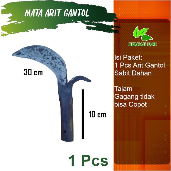 Sabit Gantol Arit Gantol Sabit Dahan Tinggi
