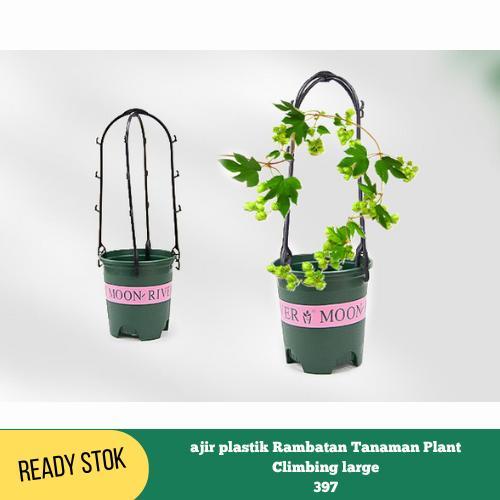 Ajir Plastik Rambatan Tanaman Plant Climbing Large 397