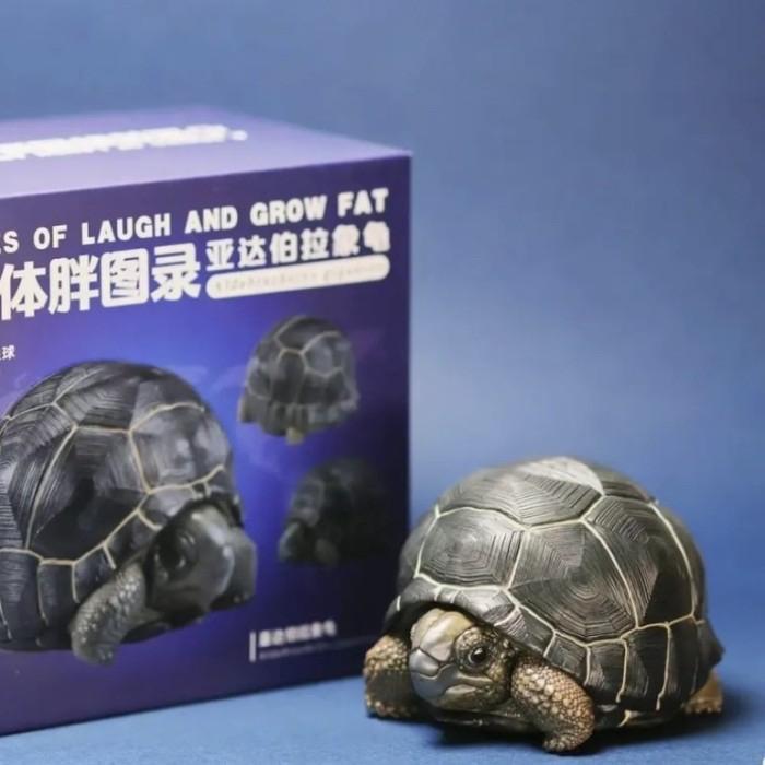HOT SALE DP PO ANIMAL HEAVENLY BODY ALDABRA TORTOISE / KURA KURA ALDABRA TERMURAH