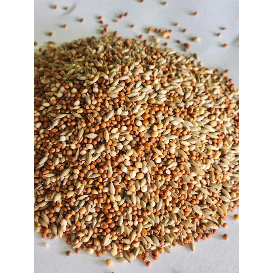 J&J Finch Mix (Fm) (5Kg) Pakan Burung Emprit, Gold Amadine, Finch #Gratisongkir