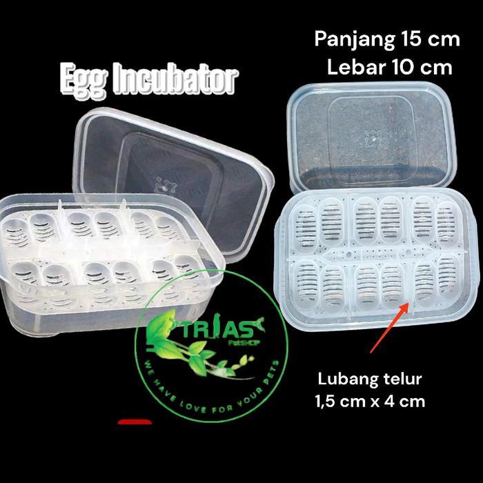 NEW PRODUK EGG INCUBATOR REPTIL TEMPAT INCUBASI TELUR REPTIL GECKO BEARDED DRAGON CORN SNAKE DLL