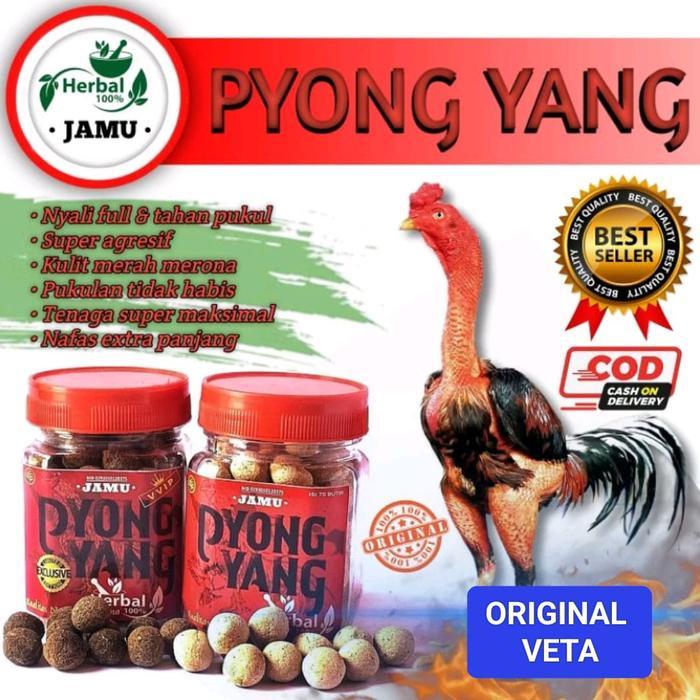 JAMU PYONG YANG BOTOL MENDONGKRAK STAMINA POWER FULL DAYA TAHAN AYAM readyyy