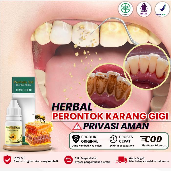 Promo Perontok Karang Gigi Membandel Sudah Bpom Dan Halal Propolis