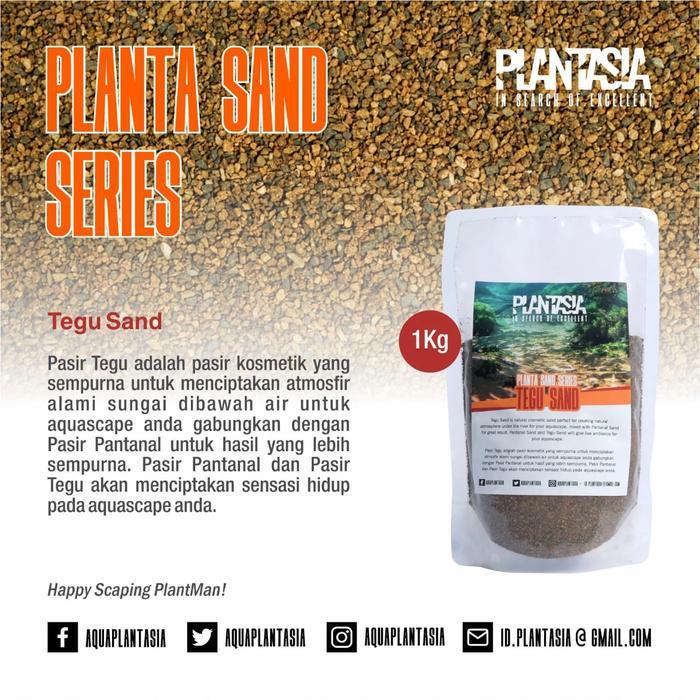 Ready Pasir Tegu Sand 1Kg Plantasia