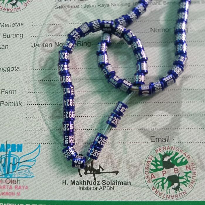Ready Ring Apbn Terbaru Untuk Murai Batu Plus Sertifikat Asli Yayasan 1 Pcs -Gratisongkir