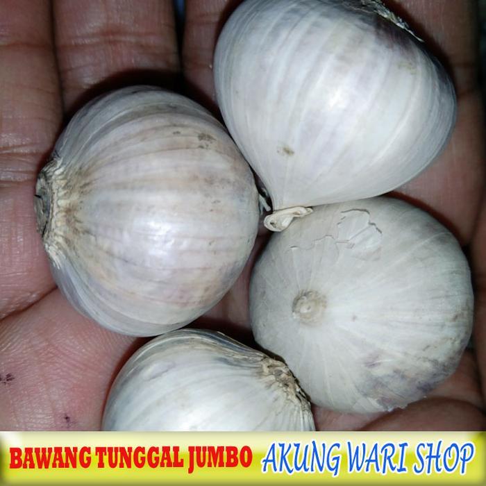 Bawang Putih Tunggal / Jumbo Kemasan 500 Gram Super Sale