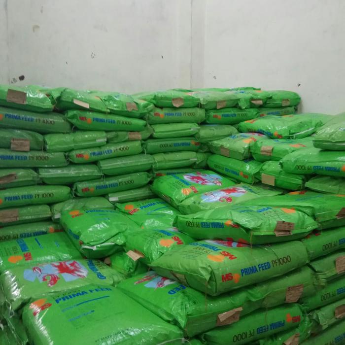 TERLARIS PF 1000 10 kg PF1000 pelet ikan pakan benih ikan patin bawal gabus chana oscar bibit lele