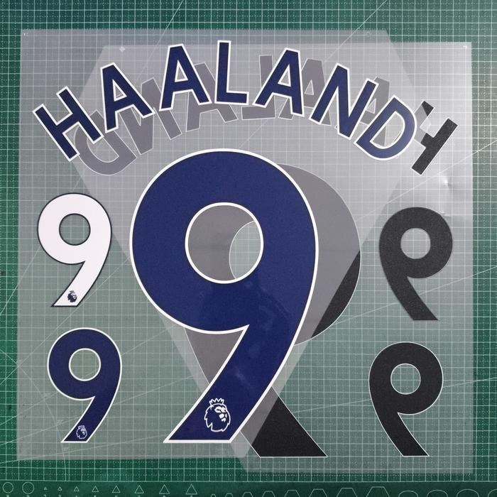 Hot Sale Nameset Haaland 9 Navy Man.City 2022 (Debut) Poly Go