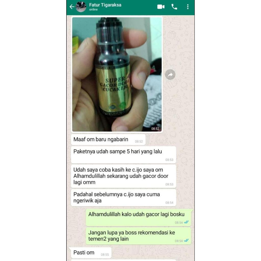 Penggacor Cucak Ijo Super Gacor Door Cucak Ijo Juara Lomba Gantang #Gratisongkir