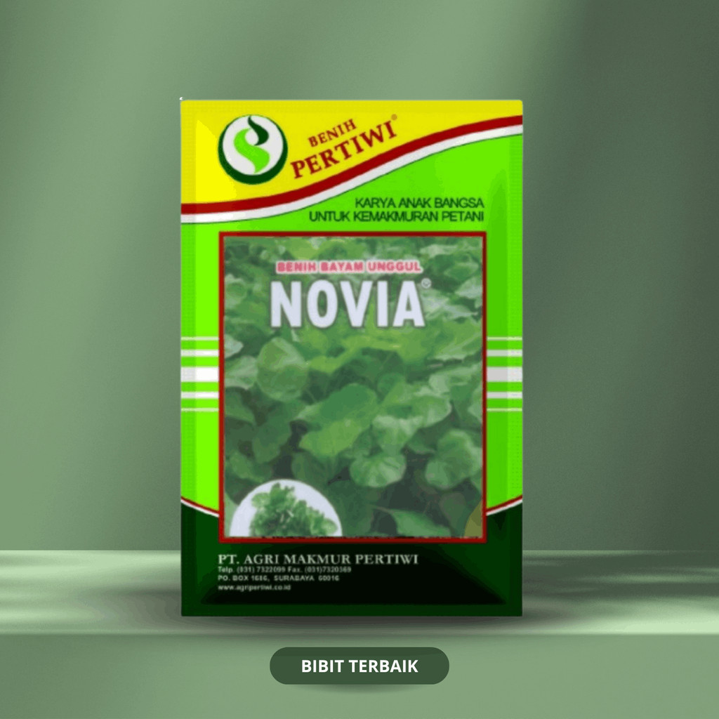 Benih Bayam Novia (500g) - Benih Pertiwi