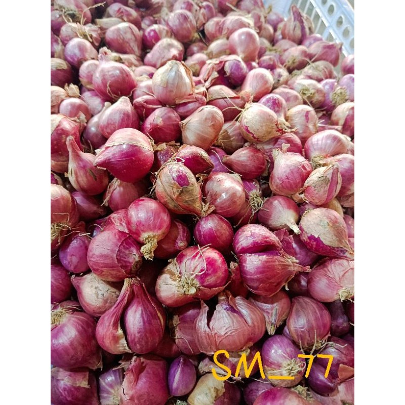 Bawang merah besar 250gram | Bawang Merah Campur | Bawang Merah Murah | Bawang Merah