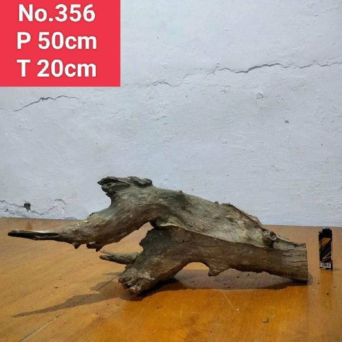 Ready Akar Santigi Laut Akar Laut Akar Dekorasi Aquascape Aquarium Dll 356