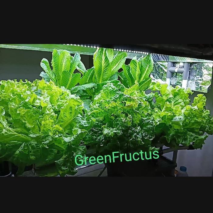 "New" Grow light LED