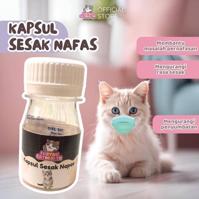 Cppetindo - Nafas Berat Sesak Kucing Kapsul Kucing Sesak Kucing Grok Grok