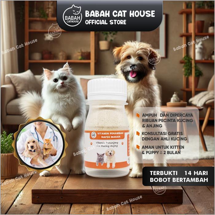 Hot Sale Vitamin Gemuk Kucing Penambah Nafsu Makan Anjing Obat Penggemuk Untuk Fitamin Anak Cat