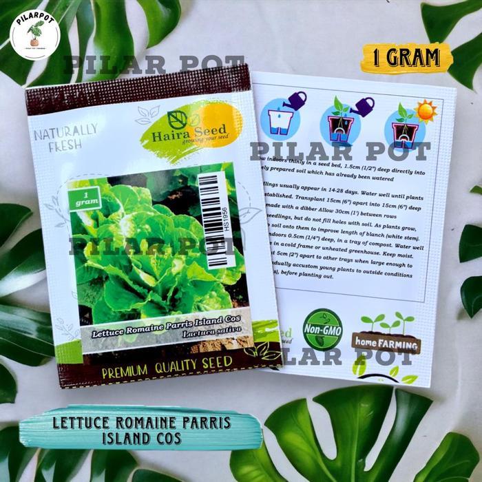 Benih Bibit Selada Green Romaine Parris Island Cos Haira Seed - SELADA