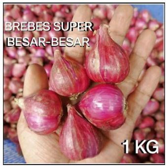 bawang merah brebes  bawang merah brebes super  500gr bawang merah murah