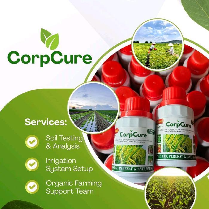 "New" CORPCURE OBAT HAMA AMPUH 100% UNTUK ATASI HAMA PADI DAN MELEBATKAN BUAH PADI MENGANDUNG ZPT