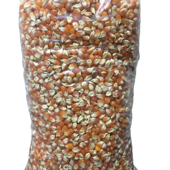 Jagung kristal - pakan burung dara - makanan burung dara