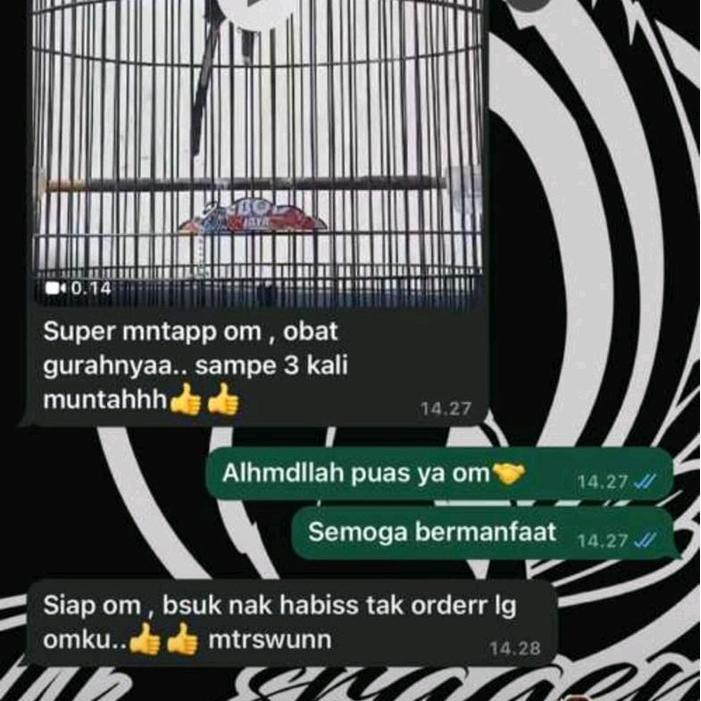 Tt Plus Gurah Burung Original Gurah Semua Burung Pasti Ori