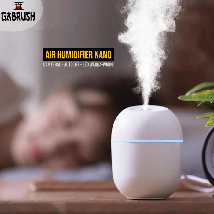 TERLARIS Air Humidifier Nano Atomizer Uap Pelembab Ruangan