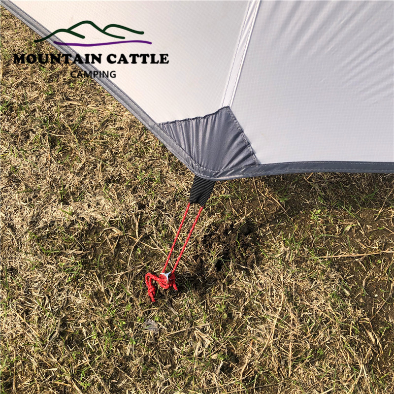 Nemo style Hornet Ultralight Backpacking Tent,Nemo 2P tent,Nemo 2 Person tent,Lingweight customize