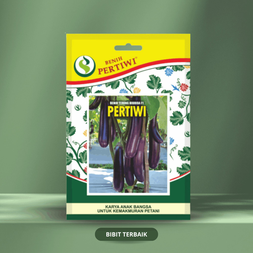 Benih Terong Ungu Pertiwi (250 Biji) - Benih Pertiwi