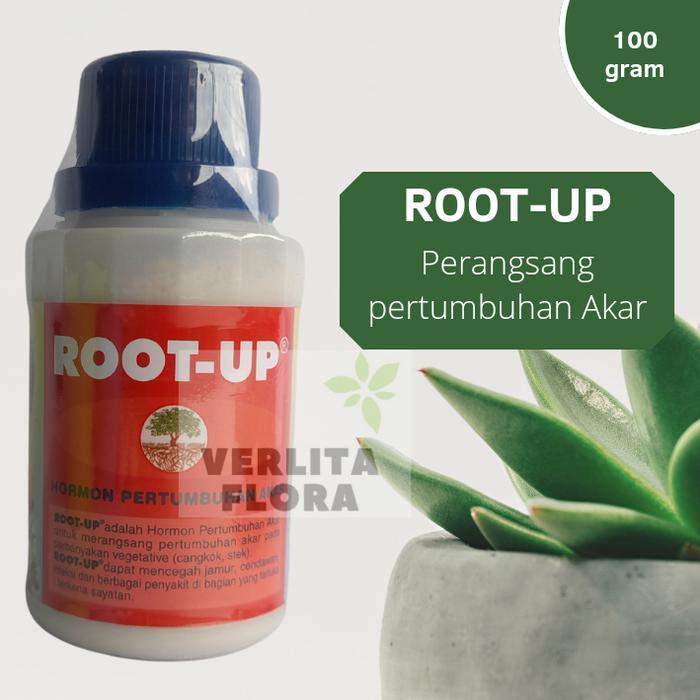 "New" ZPT / Pertumbuhan akar Root Up