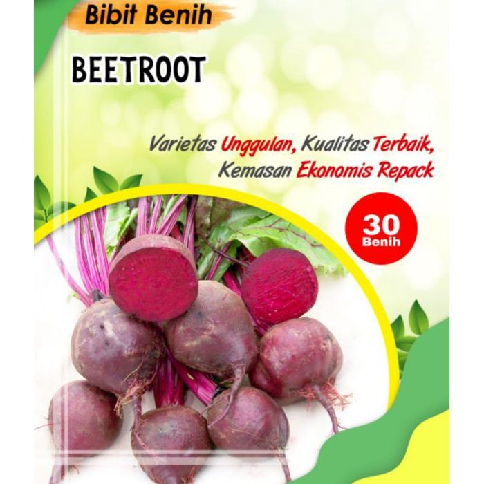 STOK TERBATAS 30 Biji Benih buah bit - benih bibit beetroot merah
