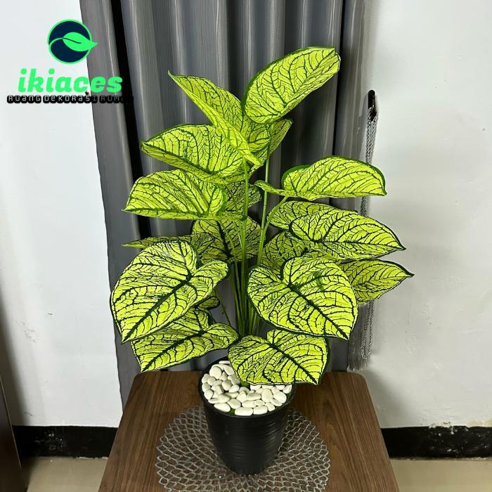 Daun Aglonema Plastik Bunga Hias Plastik Daun Monstera Dekor Pot Bunga Terlaris