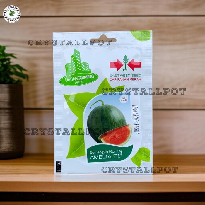Terlaris Benih Bibit Semangka Merah Non Biji Amelia F1 Cap Panah Merah - Semangka Amelia F1 East