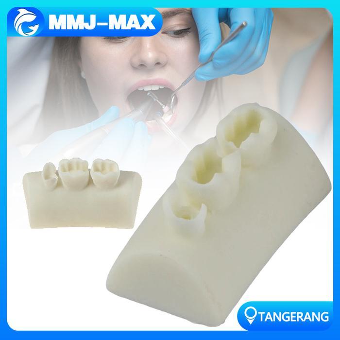 PROMO MODEL LATIHAN TAMBAL GIGI/MODEL TAMBALAN GIGI/DENTAL PRACTICE MODEL