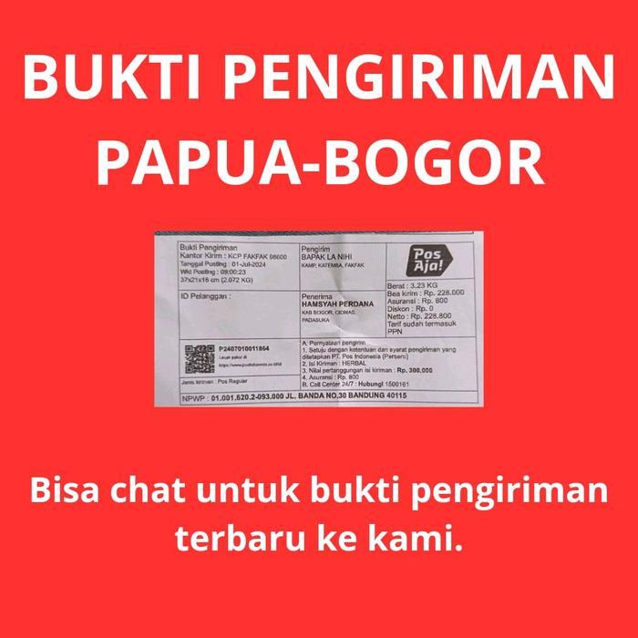 Daun Bungkus Papua Asli