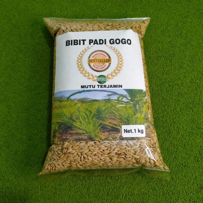 Bibit padi gogo unggul 1 kg
