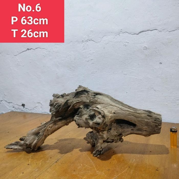 Ready Akar Santigi Laut Akar Kayu Santigi Akar Aquascape Aquarium Abcqq 06