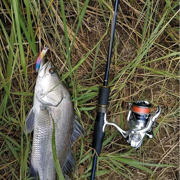 Minnow Lidah Panjang Sepaket Minnow Sinking Belanak