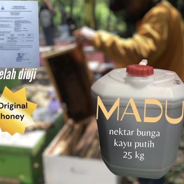 madu nektar kayu putih original honey 25 kg