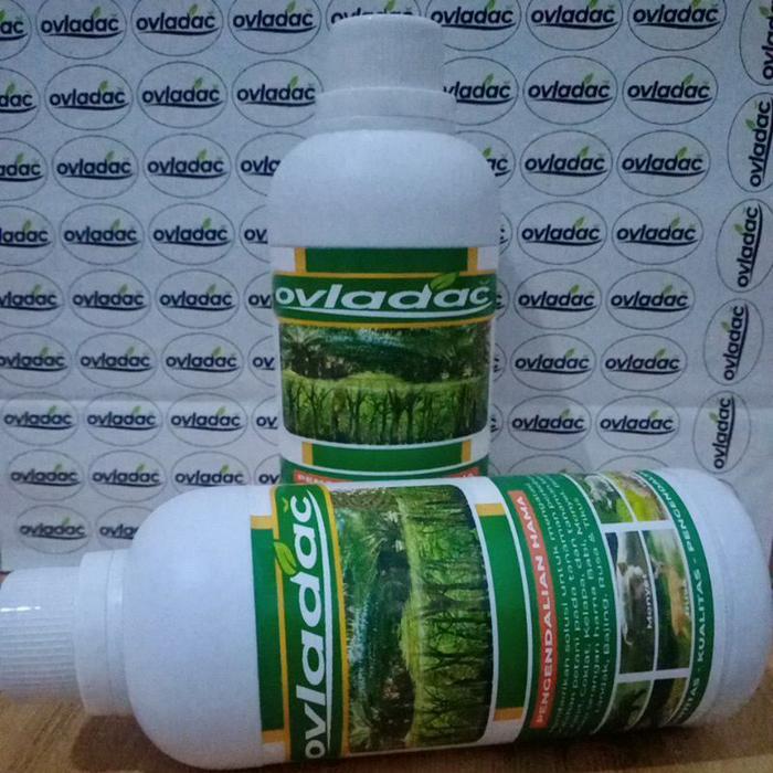 OVLADAC 500 ML Racun Babi, Racun Hama Babi, Racun Monyet, Kera, Rusa