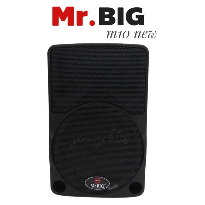 Portable speaker Mr Big 10inch m10