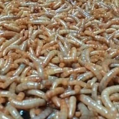 ULET ULAT HONGKONG 1 kg .