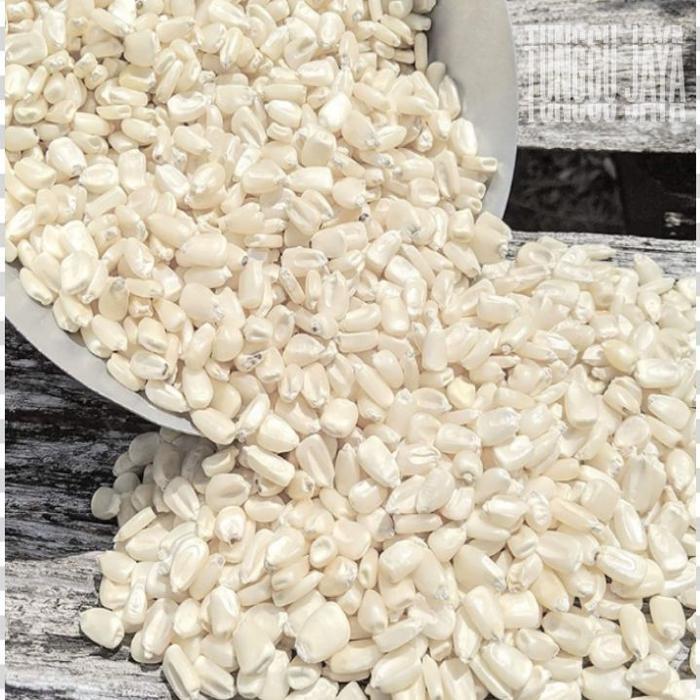1000 Gram JAGUNG KETAN PUTIH PULUT kering MENTAH,bahan bubur
