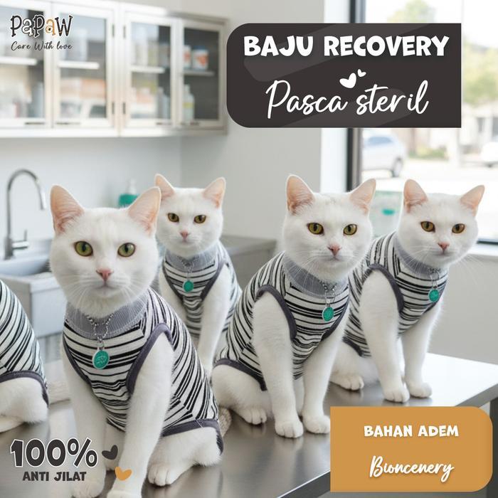 Sale- Baju Steril Kucing Anjing Betina Jantan Untuk Recovery Pasca Operasi